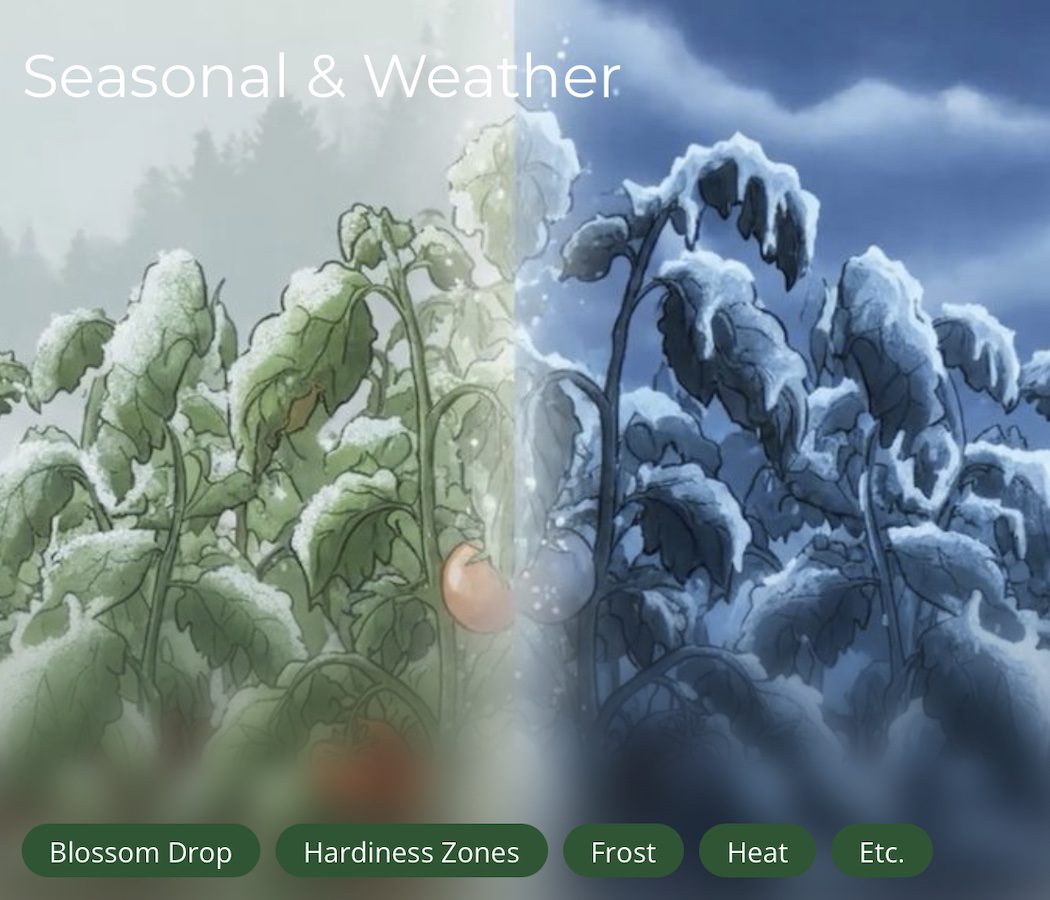 seasonal and weather guides
