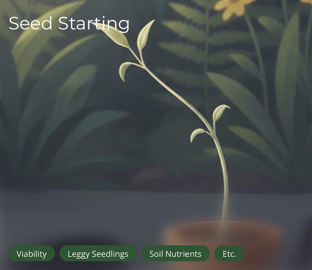 seed starting guides