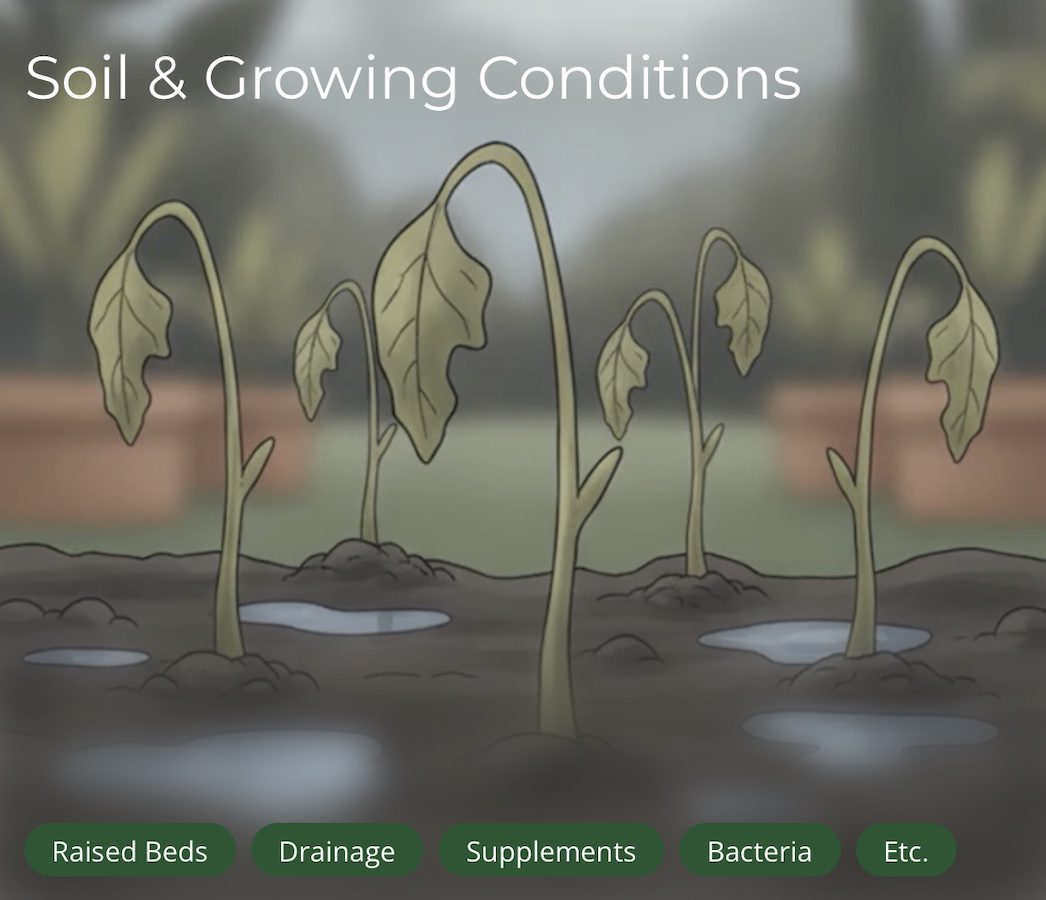 soil and growing conditions guides