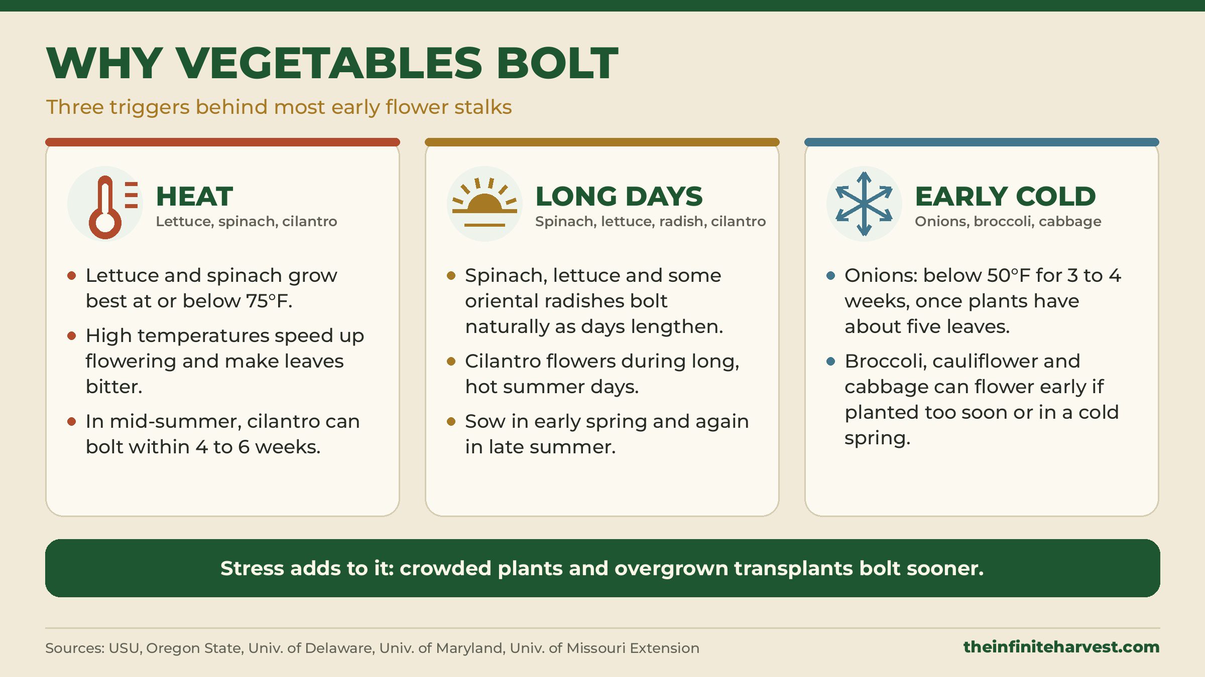 Infographic showing why vegetables bolt: heat, long days, and early cold, with crowding and overgrown transplants adding stress