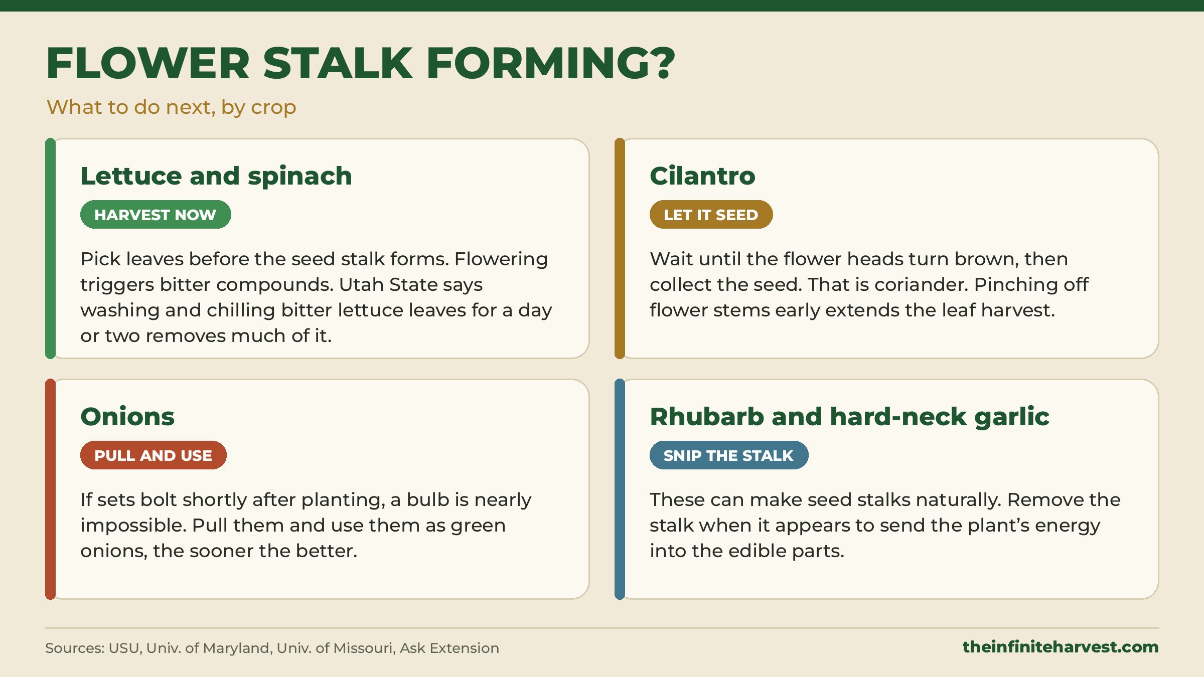Guide to what to do when a flower stalk forms on lettuce, spinach, cilantro, onions, rhubarb, and hard-neck garlic
